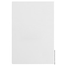 Placa Cega com Suporte 4x2 - RECTA Branco Satin